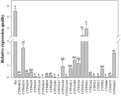 Resistance monitoring and mechanism in the fall armyworm Spodoptera frugiperda (Lepidoptera: Noctuidae) for chlorantraniliprole from Sichuan Province, China